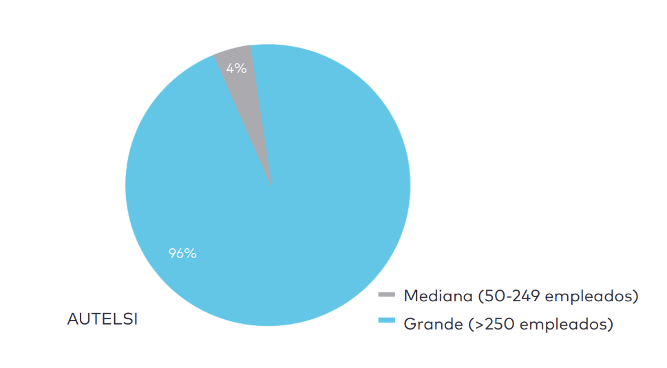 Gráfica sobre la actividad cloud en España: comparativa de adopción entre grandes empresas (96%) y PYMES (4%)